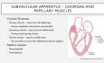 Mind the Gap - Mitral Valve Prolapse (MVP) and Mitral Annular Disjunction (MAD)