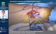 Vascular and Endovascular Surgery Skills