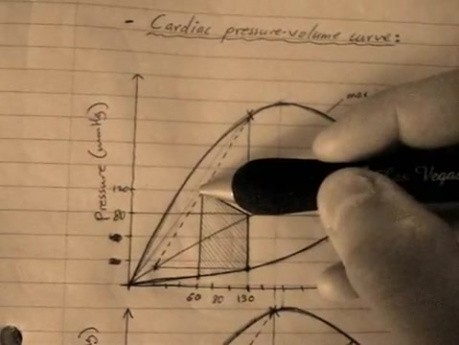 Dynamic heart plot - Heart Physiology Lecture
