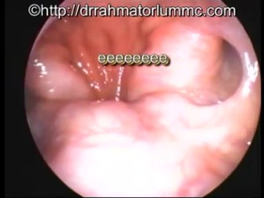 Soft Palate Elevation During The Phonation