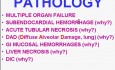 Hemodynamic Disorders, Thromboembolic Disease and Shock - MSP - 4k