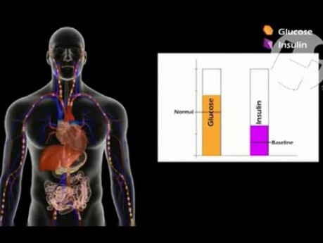 Control of Glucose Levels