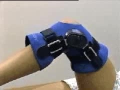 Hinged Knee Brace