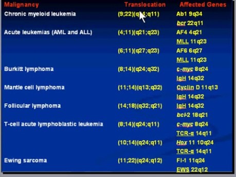 Neoplasia - MSP - 7k