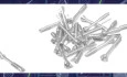 Development of Bioresorbable Solid Metal Screws for Fixation of Mandibular Head Fractures