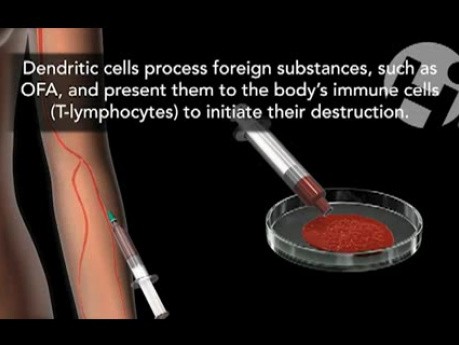 Quantum Immunologies
