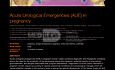 MEDtube Science 2013 - Acute Urological Emergencies AUE in pregnancy