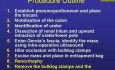  Left Laparoscopic Partial Nephrectomy - Part 3