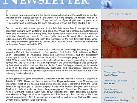 Hysteroscopy Newsletter Vol 3 Issue 1