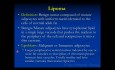 Orthopedic Oncology and Pathology Course - Benign Soft Tissue Tumors (Lipoma, etc) - Lecture 9