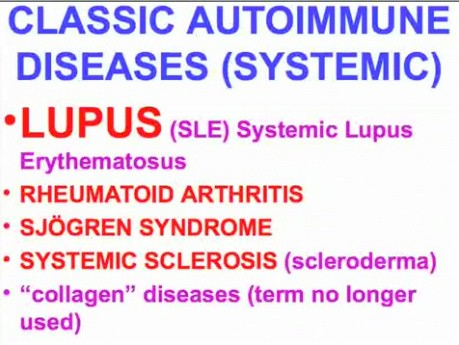 Diseases of Immunity - MSP - 6e