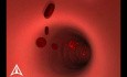 Bloodflow - 3D Medical animation