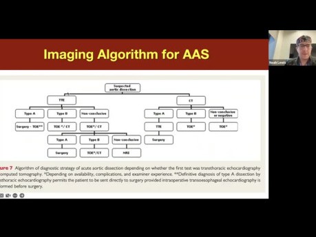 The Role of Echocardiography in Thoracic Aortic Disease