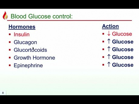 Introduction to Diabetes