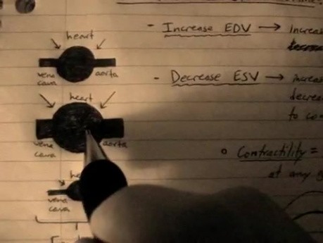 Starling law - Heart Physiology Lecture