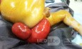 Rectal Prolapse In A Small Child