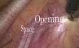 Endoscopic thoracic sympathectomy video