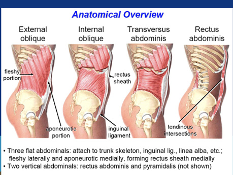 Ventral Incisional Hernia Repair