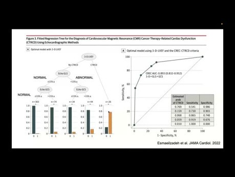Cardio-Oncology and Echocardiography