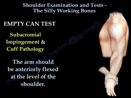 Shoulder Examination The Silly Working Bones 