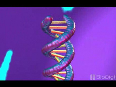 How is Cancer Treated?