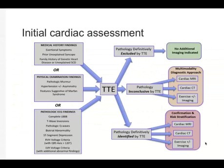 Use of Echo in the Evaluation of Athlete’s Heart