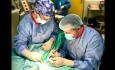 Sentinel Node Excision in Operated Lumbar Malignant Melanoma