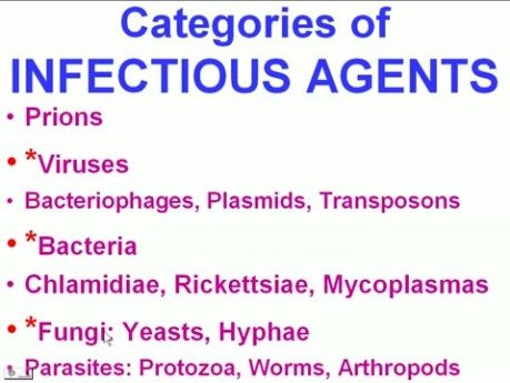 Infectious Diseases - MSP - 8a