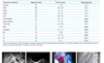 An Unusual Treatment for Massive and Refractory Bleeding after Endoscopic Retrograde Cholangiopancreatography