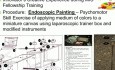 Endoscopic Painting