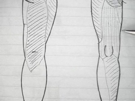 Anatomy Lectures - Lumbosacral Plexus - 3/5