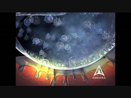 Myobloc - Mechanism of Action 3D Medical Animation