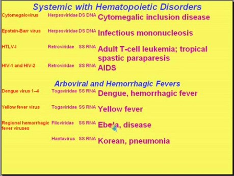 Infectious Diseases - MSP - 8c
