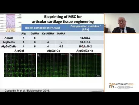 The role of biomechanics in engineering functional tissue - W. Święszkowski