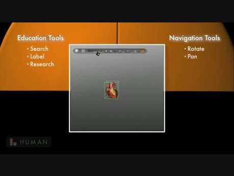 3D Anatomy Tools