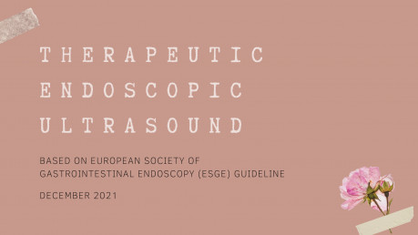 Therapeutic Endoscopic Ultrasound (EUS)