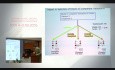 Kidney Transplants in Highly Sensitized Patients