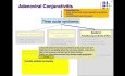 Adenoviral Conjunctivitis