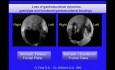 Osteopathic Approach to Visceral Dynamics