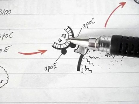 LDL - Lipoprotein Physiology Lecture