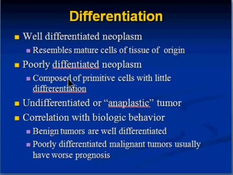 Neoplasia - MSP - 7c