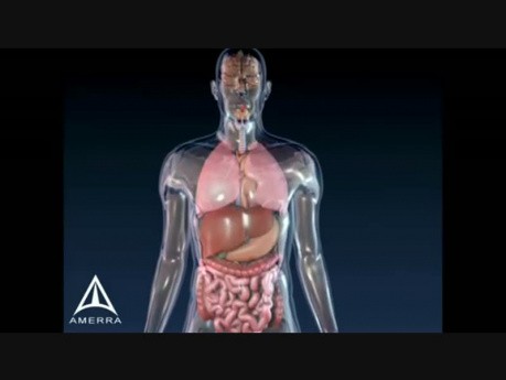 Asthma Animation - 3D Medical Animation
