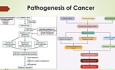 Principles of Oncology