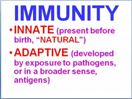 Diseases of Immunity - MSP - 6a