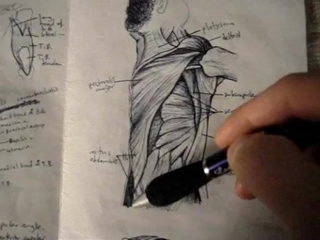 Thoracoabdominal Wall - Video Lecture - Part 2
