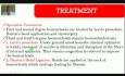 Hemorrhoids - Lower GI Hemorrhage