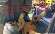 In-bag Laparoscopic Morcellation Technique Using the Standard Endobag