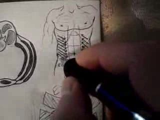 Thoracoabdominal Wall - Video Lecture - Part 5