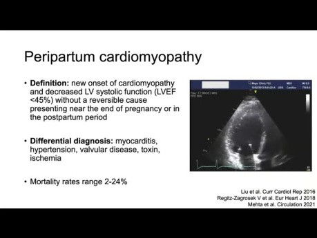 Echocardiography in the Pregnant Patient