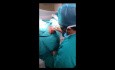 Fistula in Ano Spreading into Female External Genitalia Labia Majora